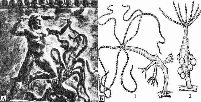 Кракен сайт 1kraken me вход