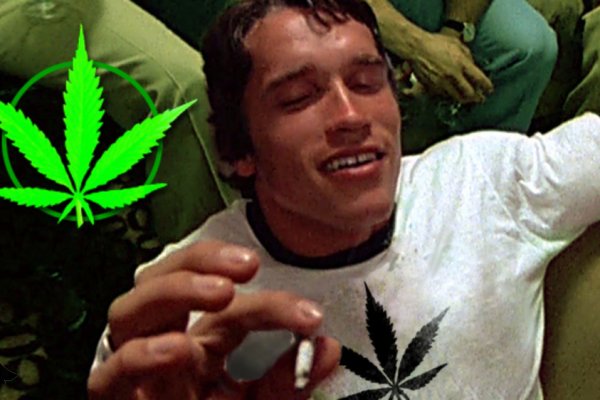 Кракен даркнет стор