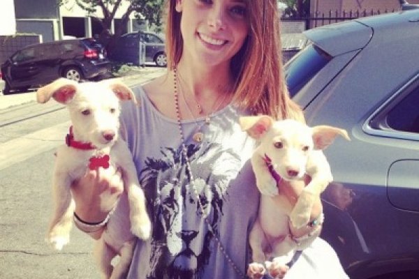 Кракен точка ат