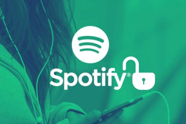 Gidra магазин