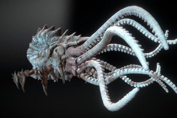 Кракен ссылка настоящая