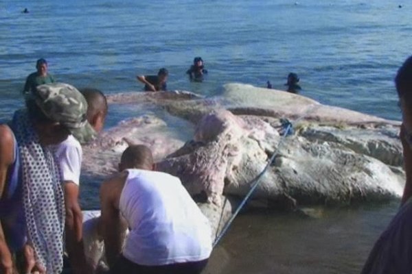 Как восстановить кракен