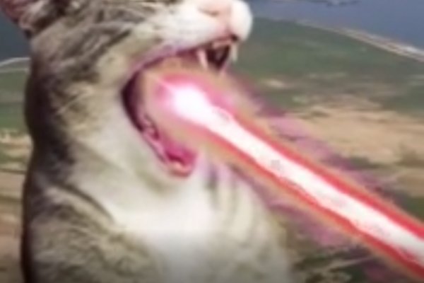 Кракен маркет даркнет только через торг