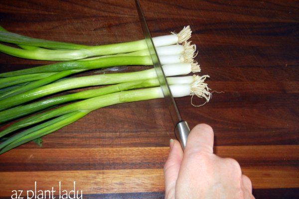 Кракен даркнет зеркало пв