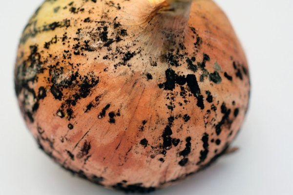 Кракен 17 вход