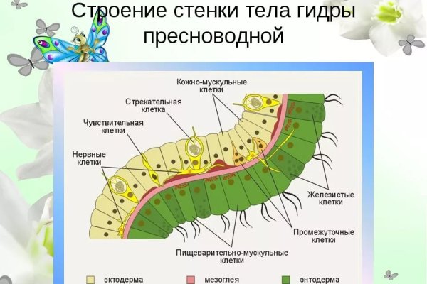 Кракен что там продают