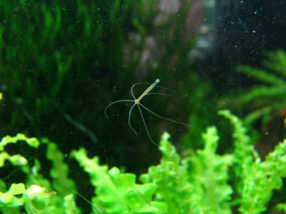 Оригинальный сайт кракен