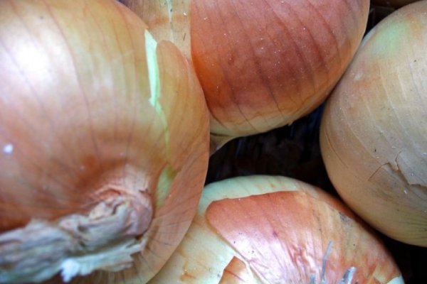 Почему в кракене пользователь не найден