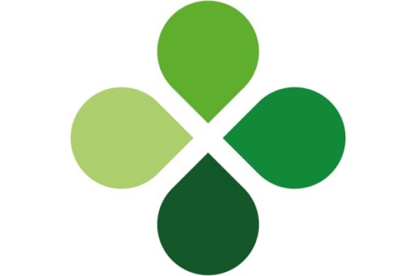 Вывести деньги с кракена