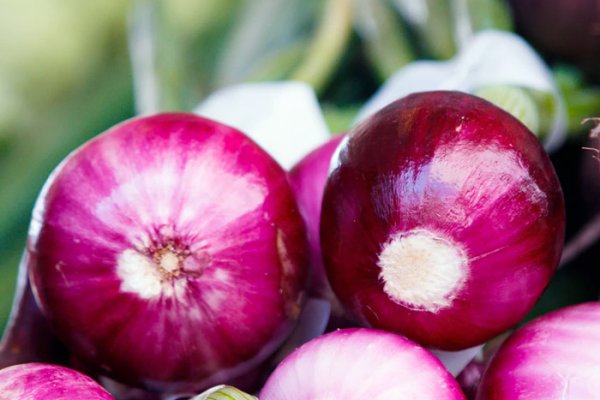 Даркнет москва