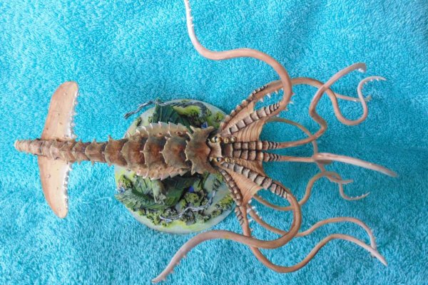 Kraken как найти ссылку