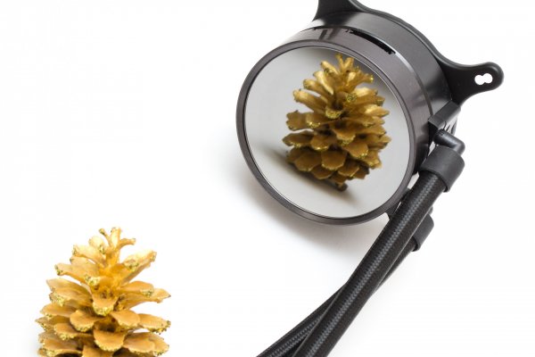 Кракен бошки