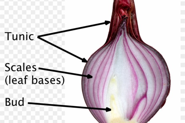 Как выйти на кракен