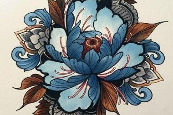 Kraken onion ссылка