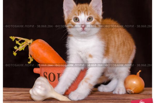 Кракен закладки