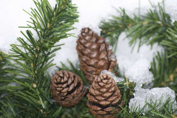 Ссылка кракен vk2 top