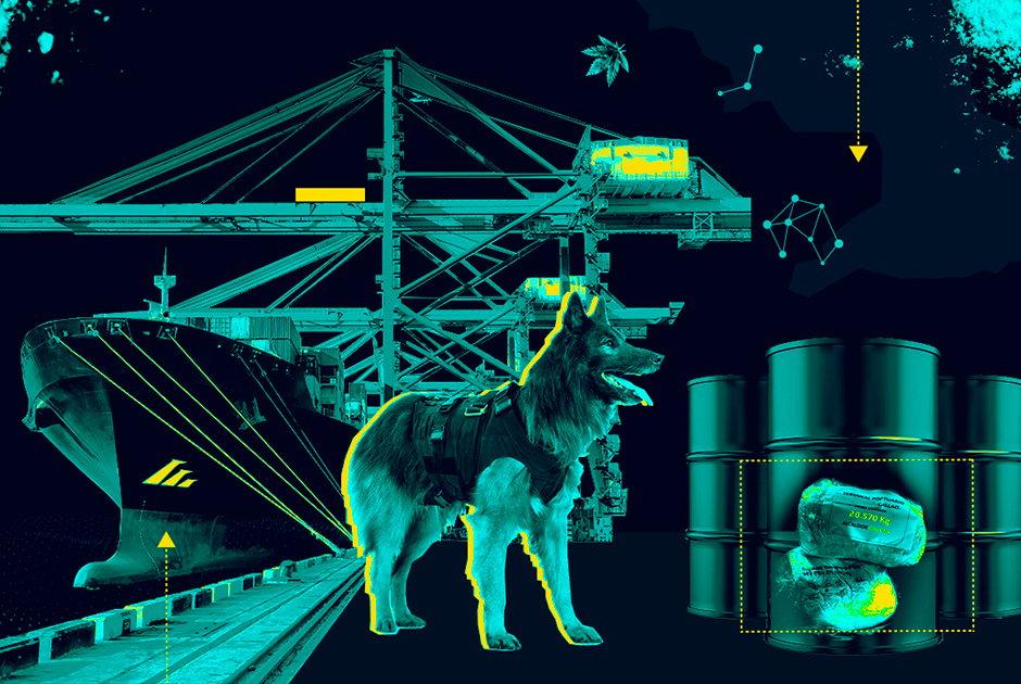 Как найти ссылку на кракен