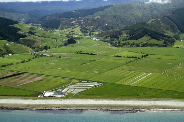 Кракен маркетплейс про