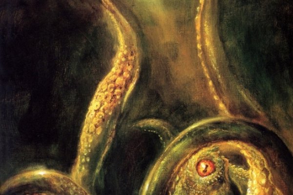 Магазин кракен как попасть